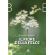 Il fiore della felce
