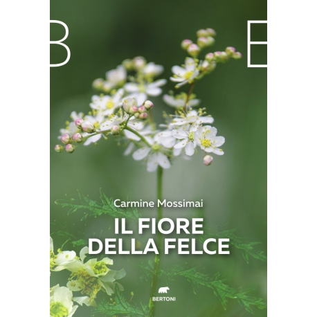 Il fiore della felce